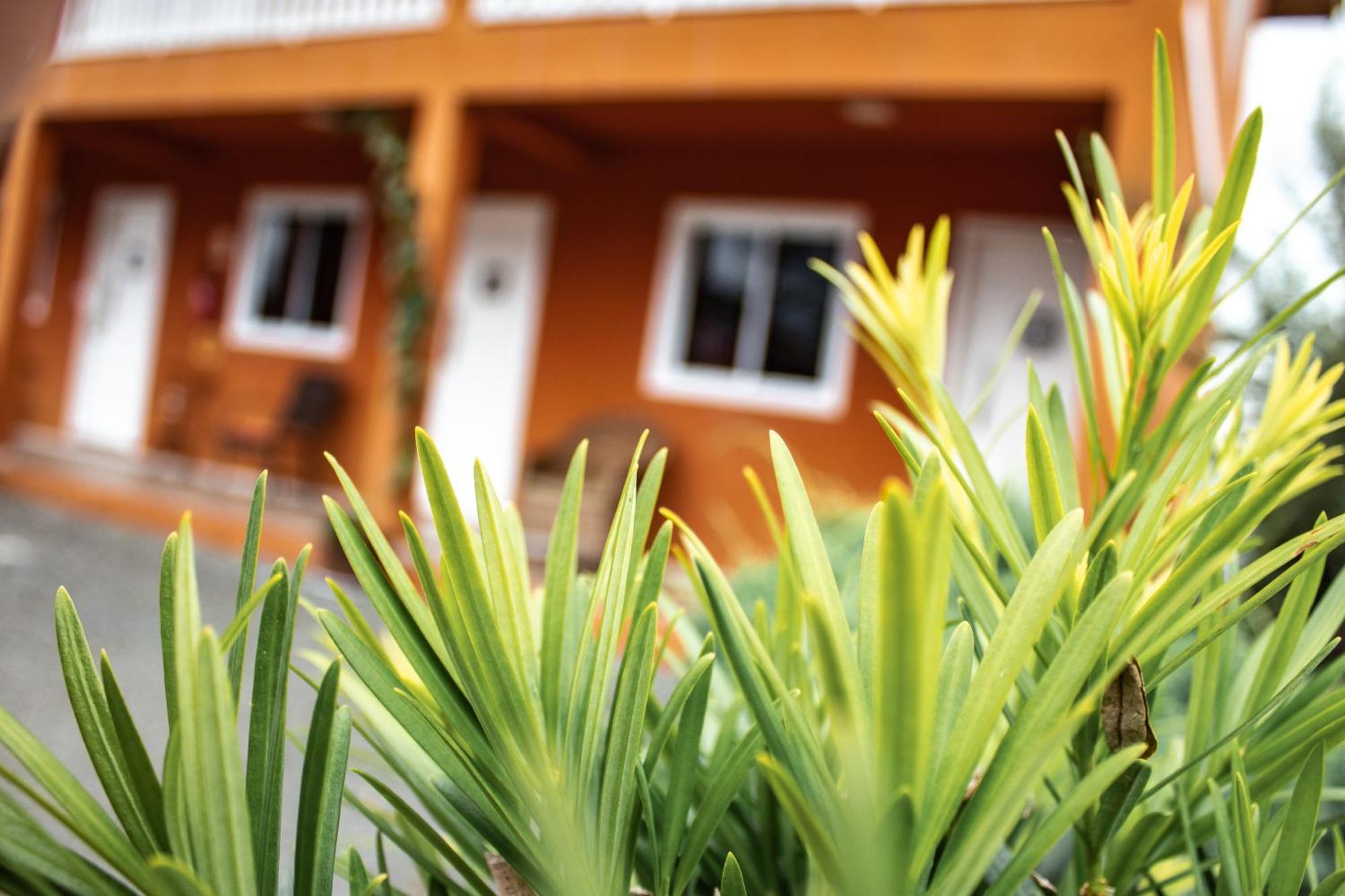 Apartamentos De Altitude Urubici Kültér fotó